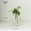 Vaso de Vidro Transparente Estilo Japonês Enfeites Decorativos Recipiente para Arranjo de Flores Hidropônicas de Mesa Presente para Pequenos Negócios Artesanal
