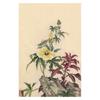 Pintura Antigua Reproducción Zhang Daqian Pintura de Orquídeas Pintura Decorativa China Nueva Pintura para Colgar Vestíbulo Pintura de Flores y Pájaros Caligrafía y Pintura de Celebridades