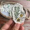 Imán de Nevera de Arcilla Plástica de Piedra Material para Manualidades Adornos Decorativos de Plantas Pintados a Mano Estudio Cursos Especiales de Verano Belleza Infantil