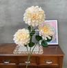Nova 3 cabeças escuro perfumado flor casamento simulação seda flor casa decoração interior decoração suave buquê de noiva floral