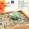 004 Cabeza de Flor de Planta Suculenta Verde Afelpada Suministros Creativos para Bricolaje Accesorios para Colgar en la Pared Decoración de Flores para el Hogar Planta Verde Shangyi