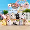 Academia do Gato Mágico Conto de Fadas Fantasia Caixa Surpresa da Moda Figura de Gato Fantasia Artesanato Caixa Surpresa Item Quente de Celebridade da Internet