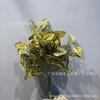 Planta de hojas verdes de simulación para pared, hojas falsas para decoración del hogar, accesorios fotográficos de hojas de Changchun, paisajismo de simulación de plantas