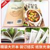Un plato genuino casero que puedes aprender de un vistazo. un Libro de Recetas Introductorio Completamente Nuevo. una Colección Completa de Platillos Caseros. China en la punta de la lengua