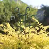 Amazon Soporte para Flores Estructura Trepadora Maceta Orquídea Pinza de Cangrejo Rosa Clematis Soporte para Plantas Invernadero Estructura Trepadora Plantas Verdes