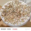 Arte de Unha Champagne Flat Joias de Diamante Pacote Completo Versátil Mini Gota D'água Borboleta Lua Formato Acessórios de Arte de Unha com Diamante Atacado