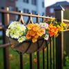 Amazon Cesta Colgante de Pared Creativa para el Hogar 24 pulgadas Cesta Colgante de Flores para Pared Planta Suculenta Palma de Coco Jardín Cesta Colgante