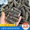 Venta al por mayor de fábrica Especialidad de Dalian Pepino de Mar Fuego Pepino de Mar Semi-seco Cubo de Estirar Pepino de Mar Salado 500g Productos no Secos Espina de Pepino de Mar