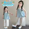 Conjunto de Verano para Niña 2026 Nuevo Elegante Ropa de Verano Infantil Moda Casual Bebé Pantalones Anchos Finos Conjunto de Dos Piezas