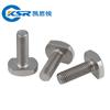 Pernos Empotrados de Acero Inoxidable 304 Tornillos Ranura en T Tornillos de Placa de Presión M6M8M10M12M16M20Gb37