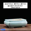 Miniatura de Jardim Paisagístico Casa em Forma de Vasos para Flores Suculentas, Vaso Criativo de Grande Diâmetro para Uso em Varanda