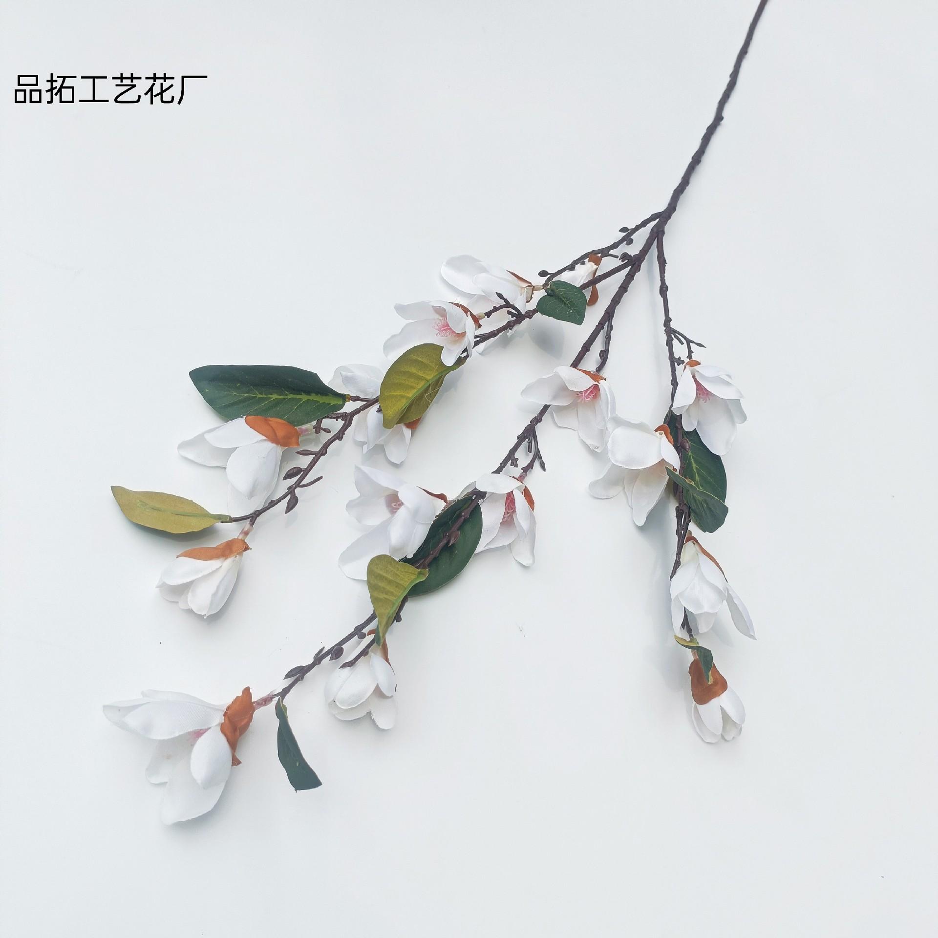 f3e30065f25c67c816116826baf5d0