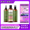Aceite Esencial de Romero Amazon para el Cuidado del Cabello Nutre el Cuero Cabelludo Fortalece el Cabello Aceite Puro de Romero Procesamiento OEM