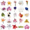 50 Adesivos de Flor de Diamante, Planta Lindos Criativos Personalizados Caderno DIY à Prova d'Água Decorativos Adesivos para Caixa de Armazenamento