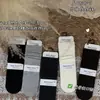 Calcetines Holgados Nuevos Estilos para Otoño e Invierno Todo en Uno, Calcetines Largos Grises Estilo Japonés y Coreano, Calcetines Lisos de Encaje de Tubo Recto para Estudiantes