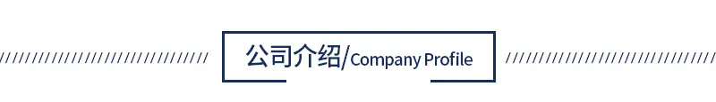 公司介绍