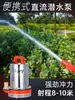 Bomba Sumergible CC 12V 24V 48V 60V Volt Bomba de Agua para Vehículos Eléctricos Bomba para Riego de Hortalizas Bomba de Riego Bomba de Agua