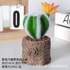 Simulación de nuevo cactus en maceta nórdico ins planta verde sala de estar decoración del hogar bonsái planta de simulación al por mayor