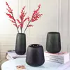 Novo Vaso de Vidro Criativo Nórdico Verde Fosco com Listras Verticais Arranjo de Flores Hidropônicas Enfeites para Sala de Estar Atacado