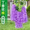 Flores Moradas de Glicinia de Tallo Único para Colgar en la Pared, Flores Densas Artificiales de Lila, Juego de 12 Piezas para Decoración de Bodas, Uso en Interiores