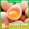 [Direto da Fazenda] Xianyuanji 15/30 Ovos Crus Sem Antibióticos, Ovos de Solo de Frango Caipira da Montanha Grande com Cordyceps