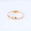 Europa y Estados Unidos nuevo brazalete de oro con hebilla de doble anillo de acero inoxidable para niñas brazalete de acero de titanio con diamantes de imitación brazalete de resorte de media abertura