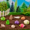 Paisaje en miniatura, figuras creativas y realistas con temática de comida, muñecos de verduras, decoración de casa de muñecas, accesorios decorativos para manualidades, adornos en miniatura