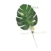 Suministro de Hojas Artificiales de Plantas Tropicales Estilo Minimalista y Hojas de Hierro para Accesorios de Fotografía y Fondos de Sesión, Descuentos al por Mayor