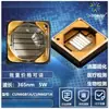 LED UV Sem condutor Coreano 365nm Alta Potência 5W Tipo SMD 3535 Luz Roxa Lâmpada para Cura de Cola de Impressão