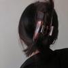 Pinza Acrílica Lazy de Estilo Francés para Mujeres Estilo Coreano Dongdaemun Chic Sencilla Grande para Cabello Recogido Parte Trasera Cabeza Disco Pasador