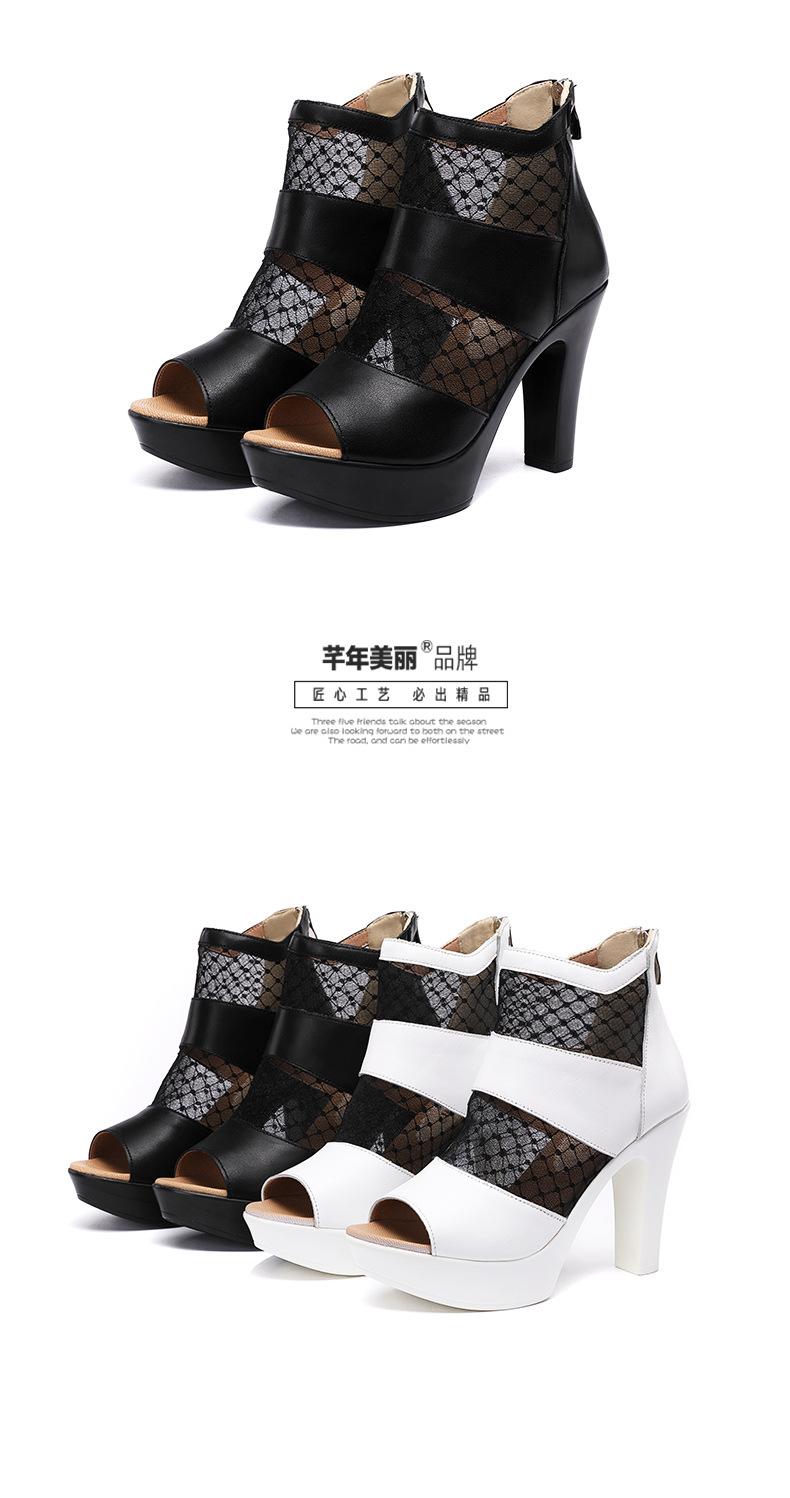 详情_19.jpg