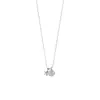 Collar Nuevo de Estrella de Mar y Concha Transfronterizo de Amazon para Mujer, Pequeño y Elegante, Versátil para el Uso Diario, Cadena para Clavícula, Estilo Casual de Vacaciones