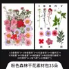 Marcador de Flores Secas flor hecho a mano material diy botella de los deseos hojas transparentes infantiles flores y plantas espécimen sello de plástico para mascotas