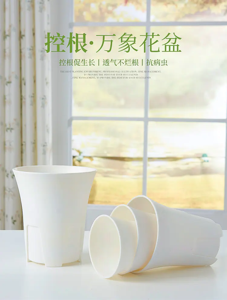 控根万象盆_01