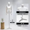 Modelo de Corpo Plano Adereços Boneca Feminina Peito Plano Meio Corpo Janela Corpo Humano Mesa Roupas Loja de Roupas Exibidor Corpo Inteiro