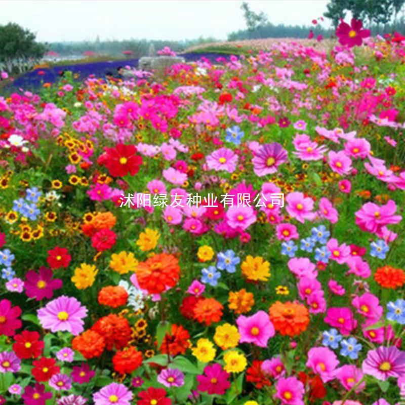 917cf7ac215da97680d2e9a5d2db66