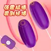 Laile Vibrador Doble USB Morado Dispositivo de Masturbación Femenina Productos para Adultos Hombres y Mujeres Juguetes Pequeños de Coqueteo Vibrador Venta al por Mayor