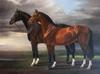 Arte Animal Caballo Salvaje Corriendo Pintura en Lienzo Mural Póster Arte de Pared Dormitorio Sala de Estar Pintura Decorativa Moderna