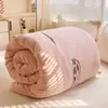 Colcha de Soja Gruesa Grado A Materno e Infantil Núcleo de Colcha Otoño e Invierno Colcha de Fibra de Soja Colcha de Regalo Colcha para Aire Acondicionado Colcha de Hotel Venta al por Mayor