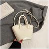 Bolsos Pequeños de Moda de Este Año para Mujer, Bolsos Cruzados Versátiles de Nueva Moda Primavera/Verano 2026, Bolsos Cubo de Mano