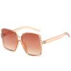 Gafas de caja caliente transfronterizas Gafas de sol de estrella de tendencia europea y americana Gafas cuadradas comodín de moda para mujer al por mayor