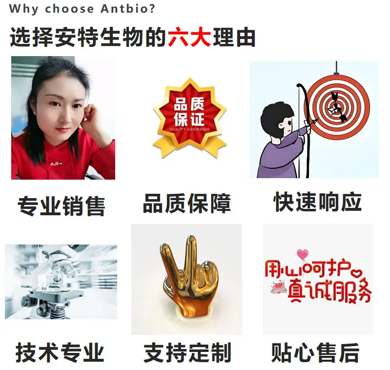 企业文化1