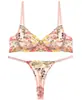 Lencería Sexy Ultra Delgada para Mujer, Sujetador Push-Up de Encaje, Conjunto de Sujetador Transparente de Malla Bordada, Estilo Sexy Puro Deseo