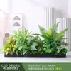 Paisagismo com Plantas Verdes Simulação Floreira Divisória de Piso Arte Floral de Chão Paisagem de Plantas Combinação de Floreira Flor Artificial em Vaso Bonsai Decoração