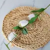 Estacas de Eucalipto Tulipa Fornecimento Transfronteiriço Arranjo de Flores Materiais Florais Adereços para Fotografia Decoração de Casa Ins Europa e América