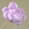 Peonía y Eucalipto Flor Preservada Aromaterapia Material Floral para Decoración del Hogar, Arreglo Floral para Vestíbulo y Oficina