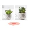 Bonsái de Planta Verde Nórdica Flor Falsa Decoración de Interior Decoración de Escritorio Biónica Suculenta Pequeña Planta en Maceta