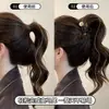 Pinza de Garra para Cola de Caballo Alta Estrella Dorada para Mujer 2025 Nuevo Estilo Pinza de Tiburón de Gama Alta para Recogido en la Parte Posterior de la Cabeza Accesorio para el Cabello