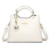 Bolso Bandolera para Mujer, Bolso de Hombro Estilo Nuevo, Bolso Cubo Moderno y Elegante, Bolso Sencillo para Madres de Mediana Edad