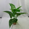 [12 Lirios de Calas] Plantas Verdes Simuladas, Flores Falsas Pequeñas y Decoraciones de Césped Artificial, Plástico para Decoración de Sala de Estar en Interiores y Exteriores